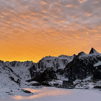 Grand Saint Bernard 102020