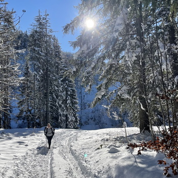 Winter Flight 122020