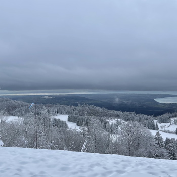 Winter Flight 122020