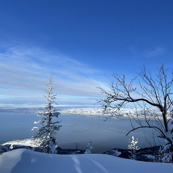 Les. Balcons du Leman 122021