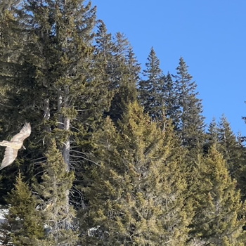 Pointes des Mattes 032022