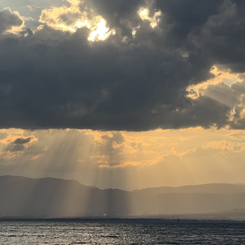 Baignade nocturne - 072023