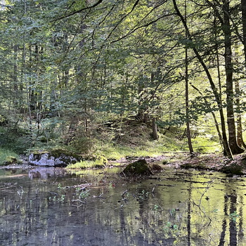 Six Fer a Cheval avec A. and co - 082023