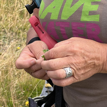 Fete de l'alpage Mieussy - 082023