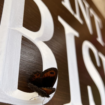 Chalets et Col de Bise - 082023