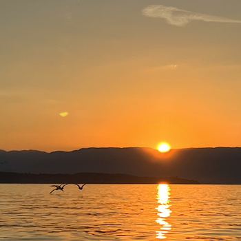 Apero paddle Kayak Corzent - 092023