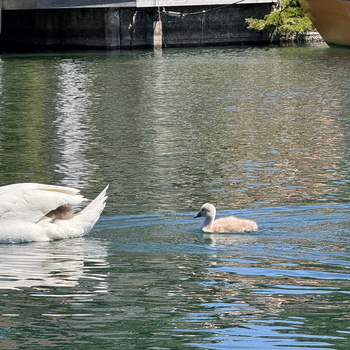 Beautiful and simple day - 052025