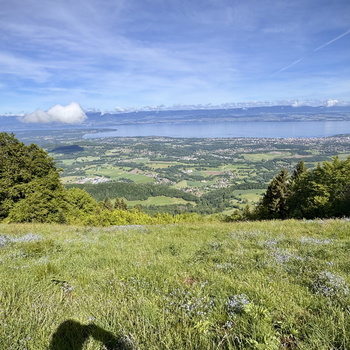 Beautiful and simple day - 052025