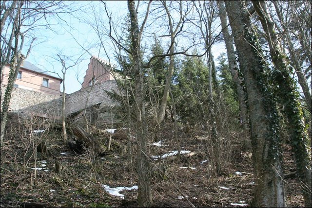 IMG 2727 (Large)