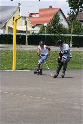 IMG 7288